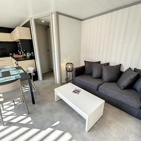 Standing 4 Pers. Avec Piscine Chauffee, Proche Plage, Wifi Inclus - Fr-1-361-514 Chalet *